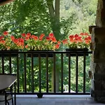 Villa Con Giardino ⭑⭑⭑⭑⭑ - Wifi, Dogs Allowed *