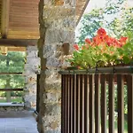 Villa Con Giardino ⭑⭑⭑⭑⭑ - Wifi, Dogs Allowed Biella