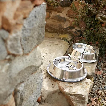 Con Giardino ⭑⭑⭑⭑⭑ - Wifi, Dogs Allowed * Biella