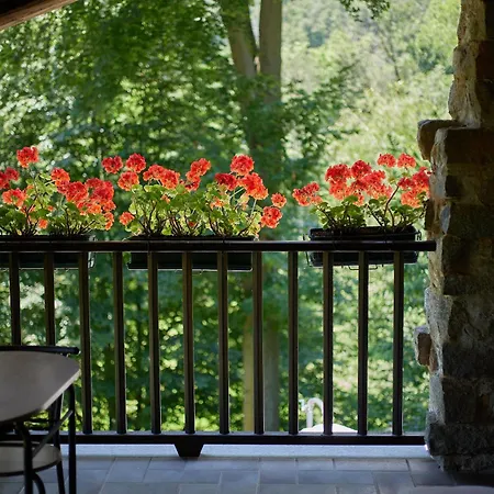 Villa Con Giardino ⭑⭑⭑⭑⭑ - Wifi, Dogs Allowed *