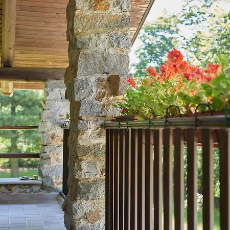 Villa Con Giardino ⭑⭑⭑⭑⭑ - Wifi, Dogs Allowed Biella