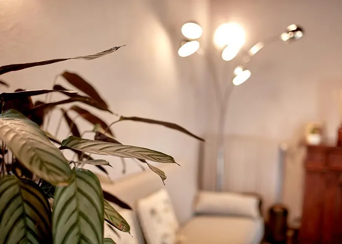 Con Giardino ⭑⭑⭑⭑⭑ - Wifi, Dogs Allowed *